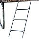 Skywalker Trampolines 3-Rung Trampoline Ladder                                                                                   - view number 1 image