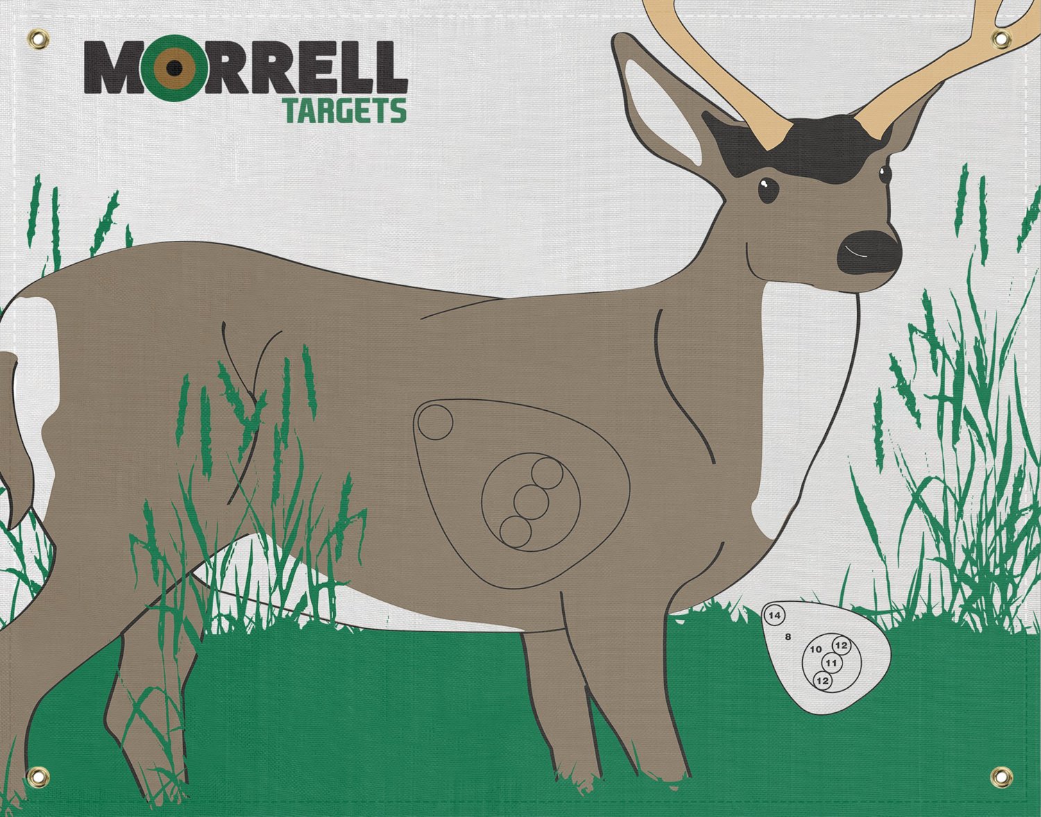 Morrell Mule Deer Target Face | Academy