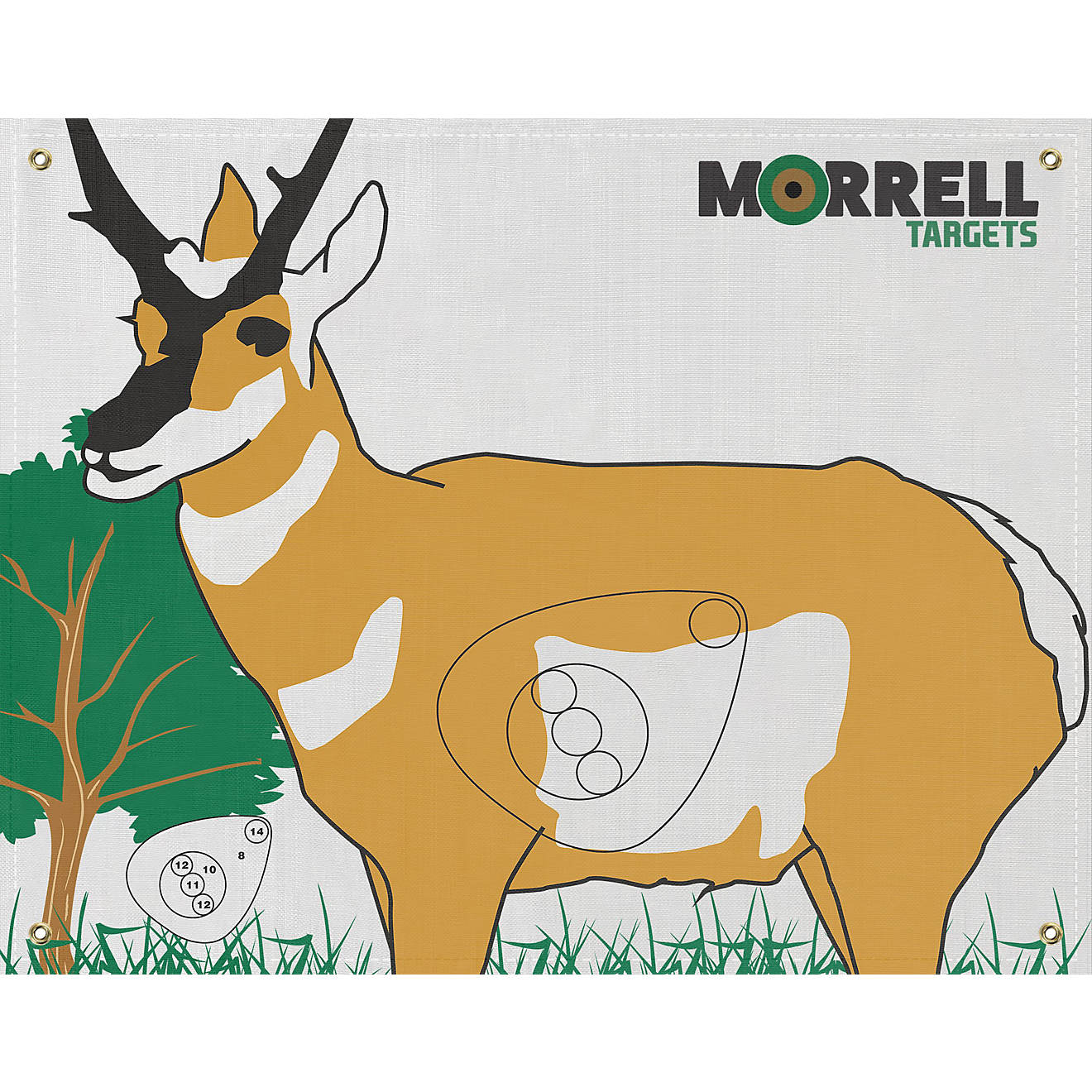 Morrell Antelope Target Face                                                                                                     - view number 1