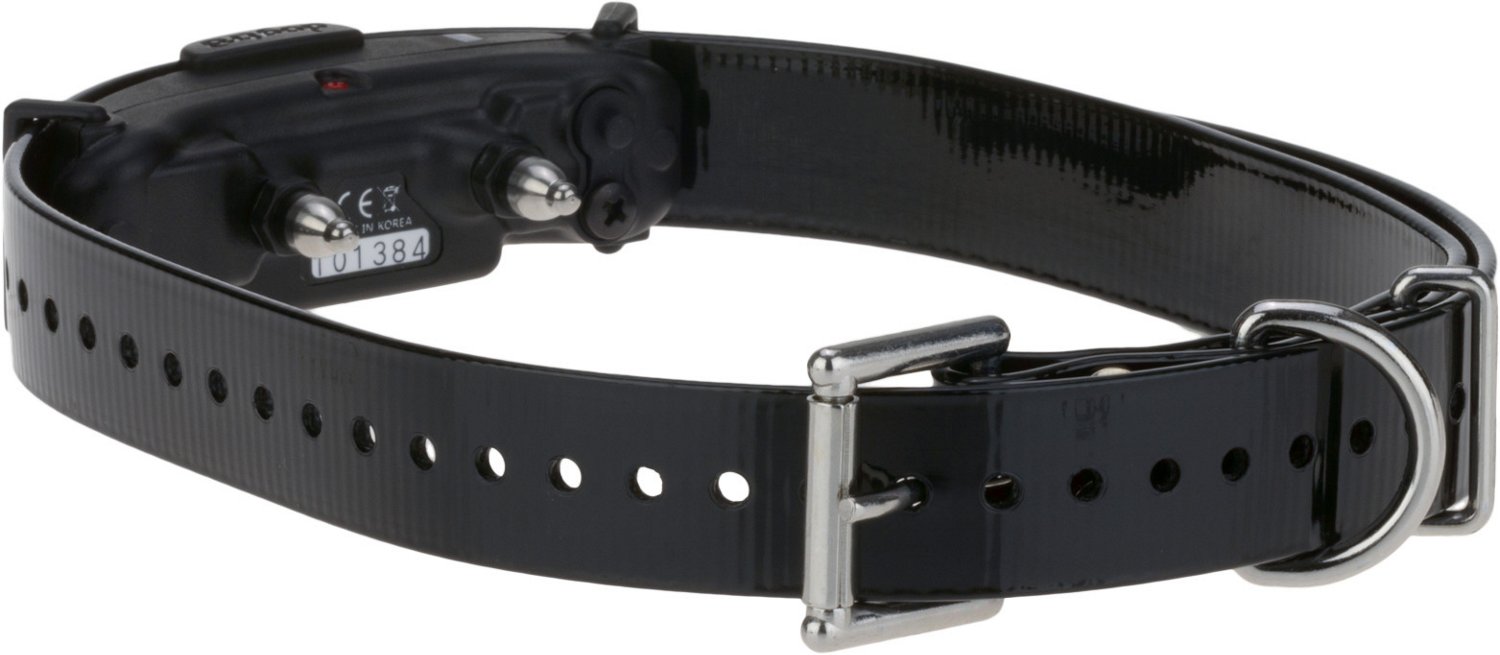 Dogtra ARC Dog Training Collar | Academy