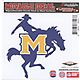 Stockdale McNeese State University Decal                                                                                         - view number 1 image