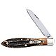 Case® Cutlery 6.5 Bone Stag Teardrop Folding Knife                                                                              - view number 1 image