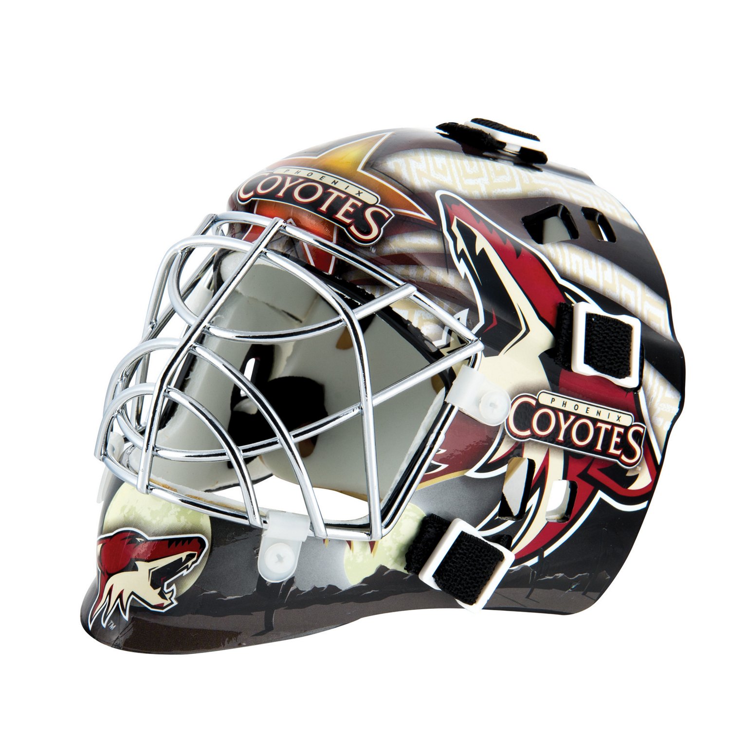 Arizona Coyotes