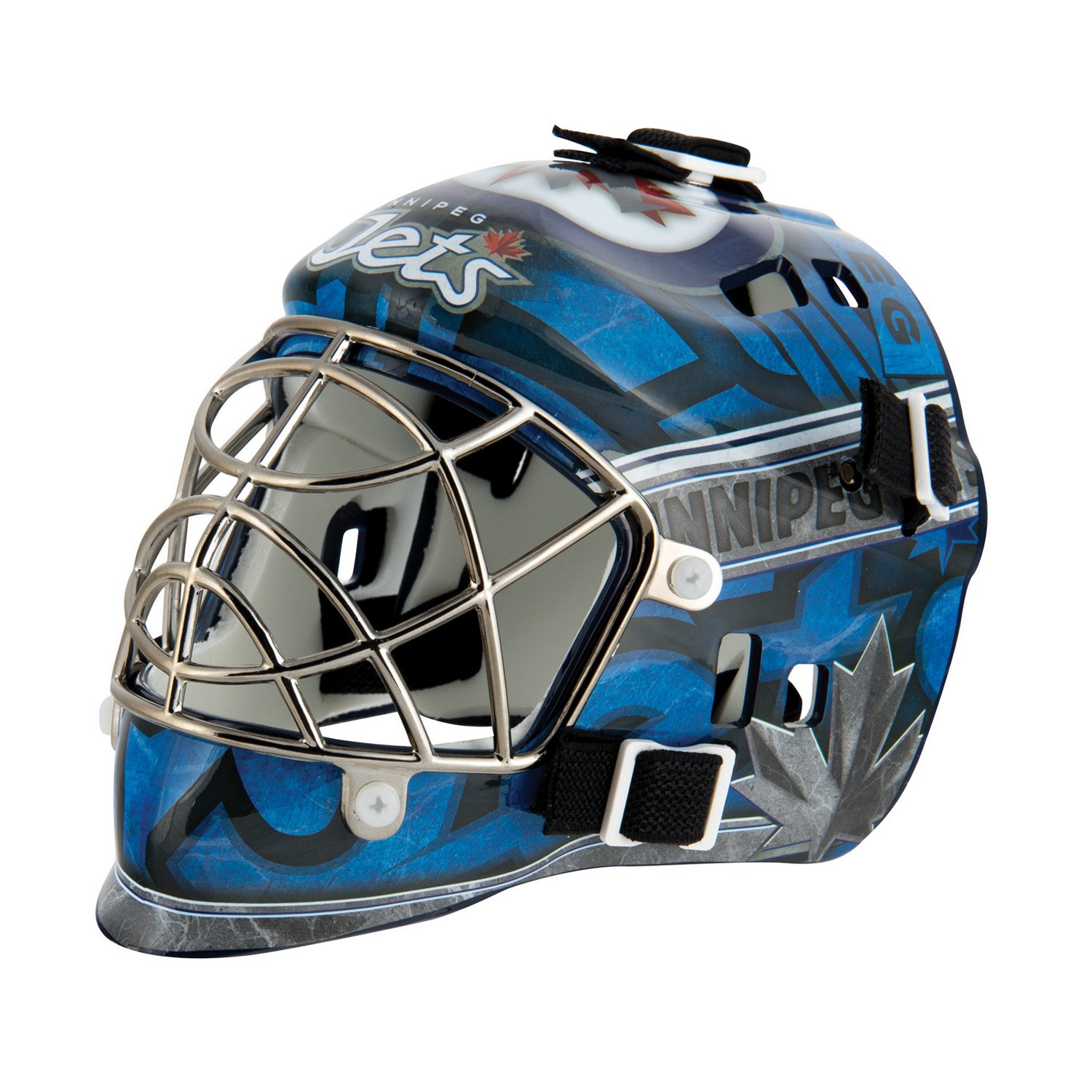 Team NHL Goalie Mask