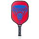 Onix Stryker Composite Pickleball Paddle                                                                                         - view number 1 image