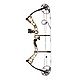 Diamond Archery Prism Compound Bow                                                                                               - view number 1 image