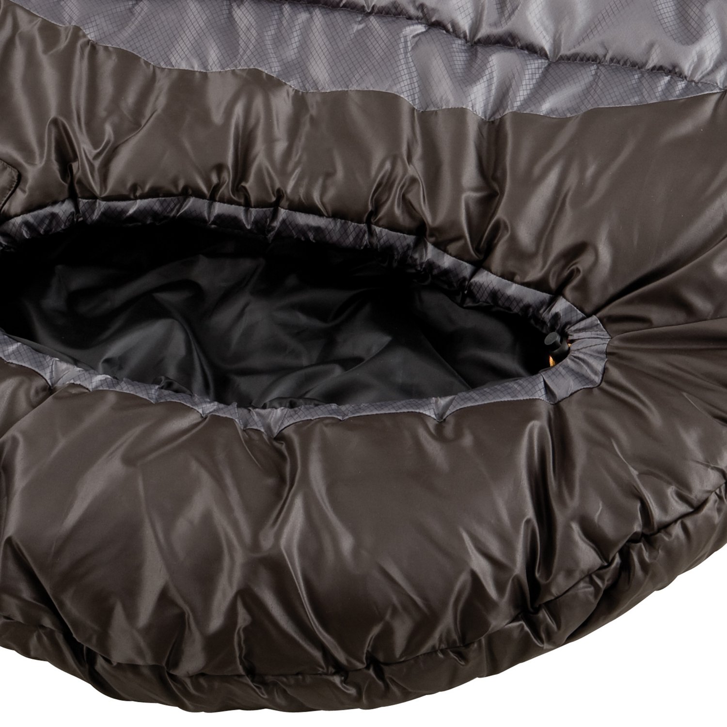 Coleman™ Big Basin™ Extreme Weather 0°F Mummy Sleeping Bag Academy