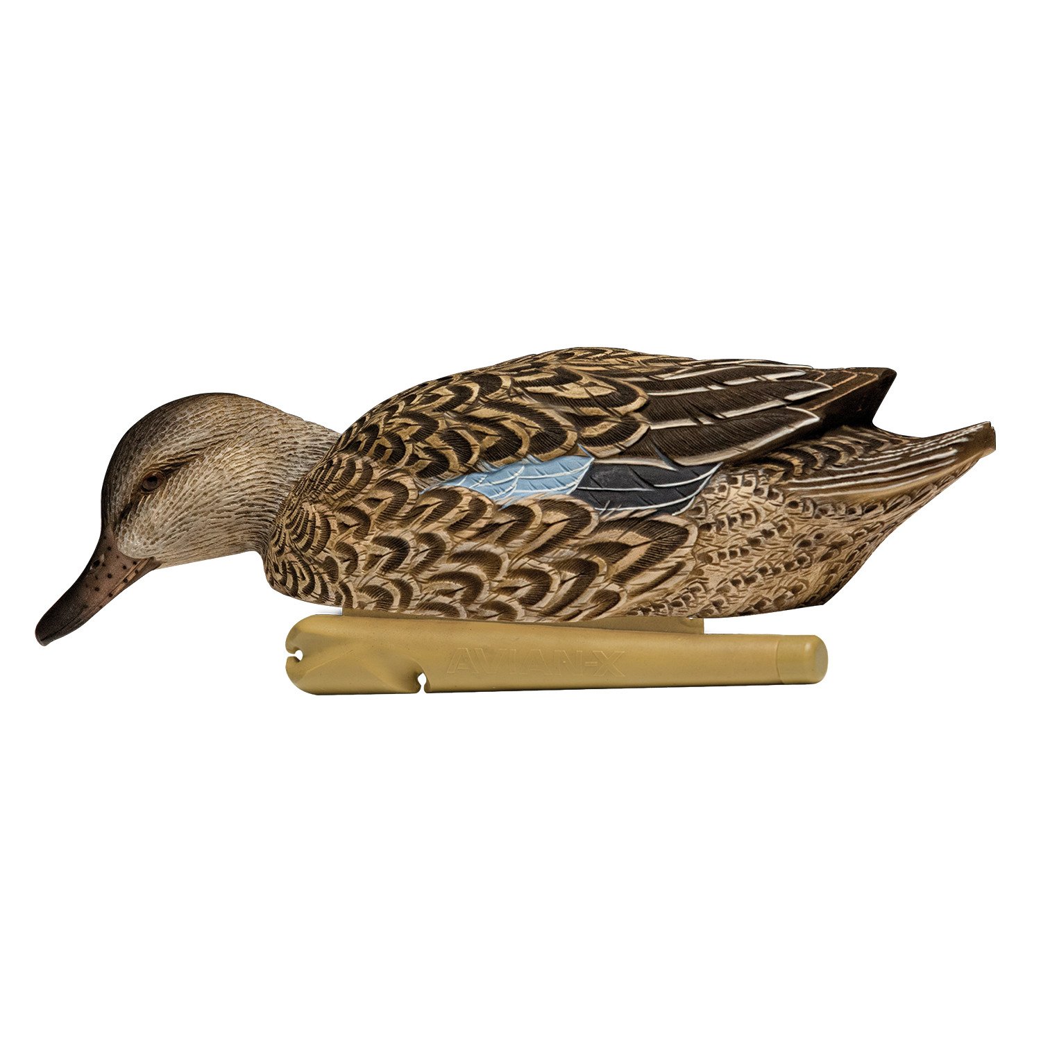 AvianX Topflight BlueWinged Teal Decoys Set Academy