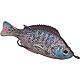 H2O XPRESS™ 3" Hollow-Body Bream                                                                                               - view number 1 image