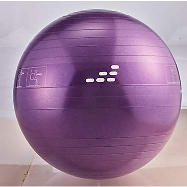BCG 55 cm Weighted Stability Ball                                                                                               