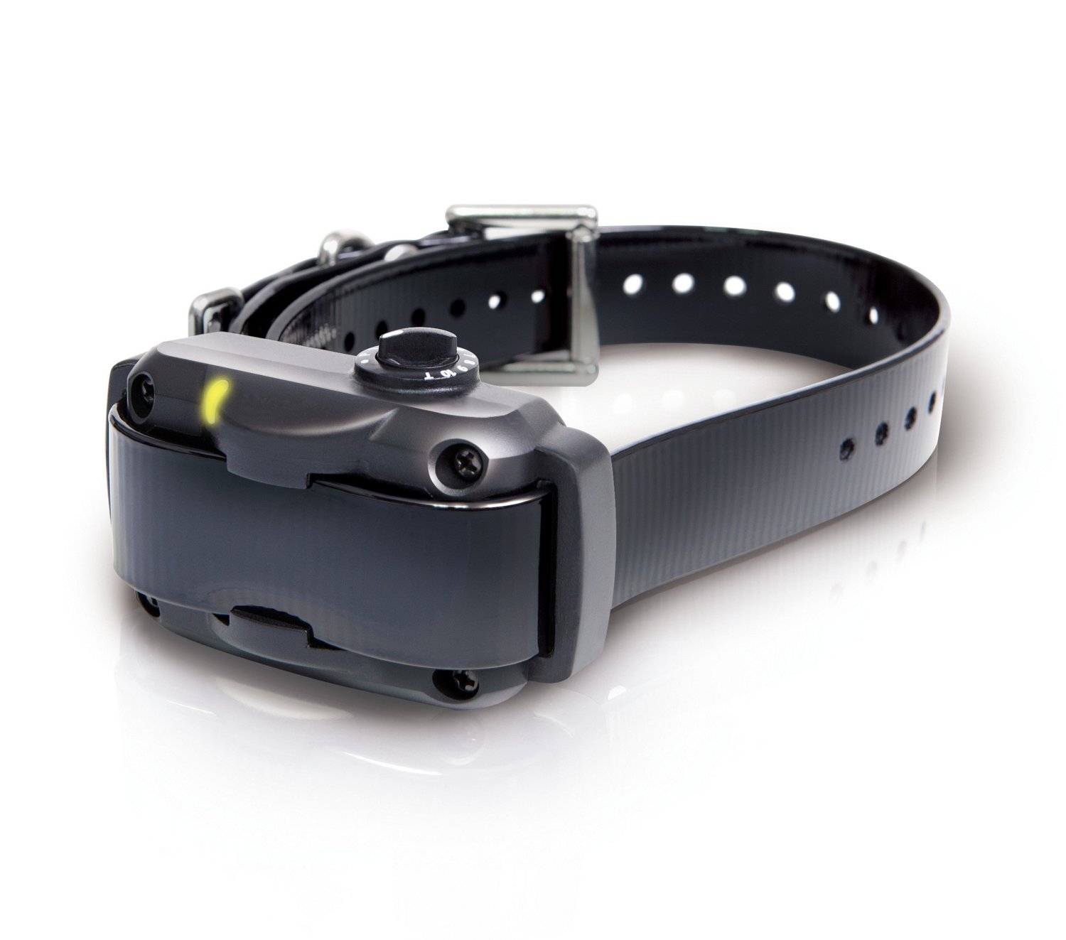 academy shock collar