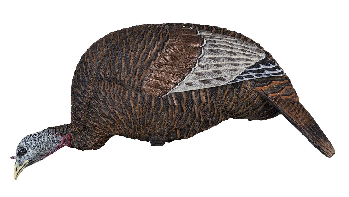 Flextone Thunder Chick 3D Feeder Turkey Decoy Academy
