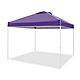 Z-Shade Everest II 10 ft x 10 ft Pop-Up Canopy                                                                                   - view number 1 image