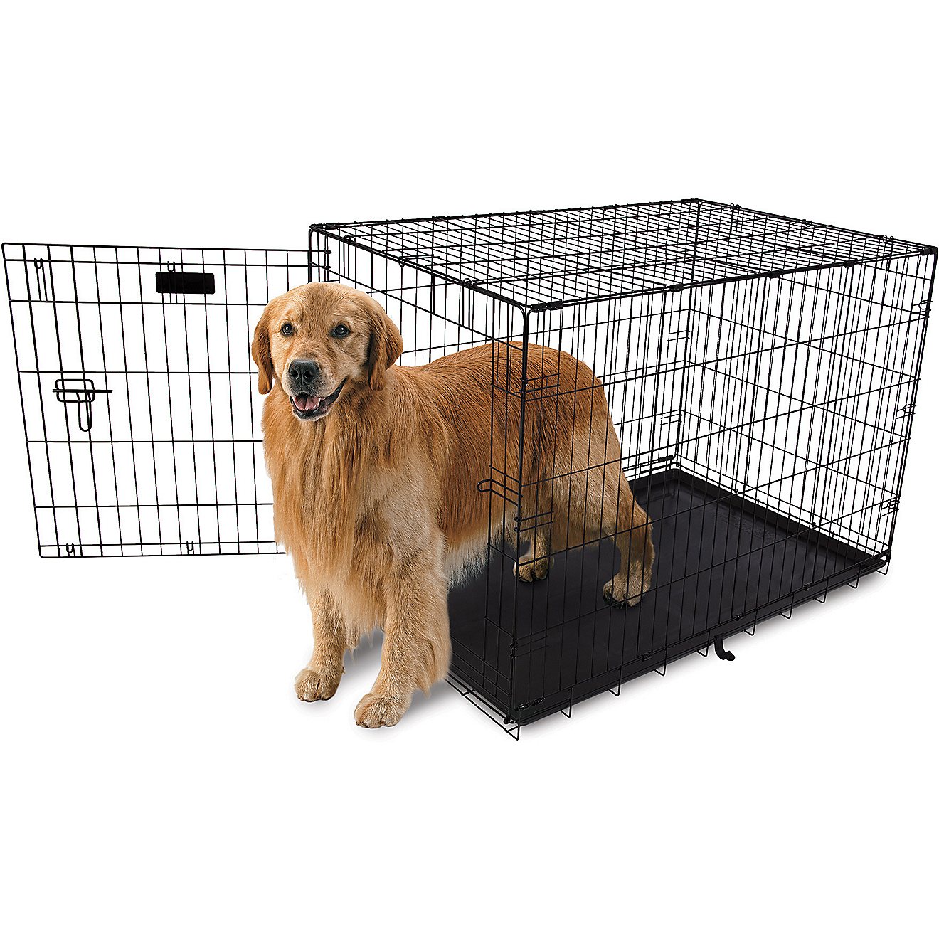 Aspen Pet 42 in Home Training Wire Kennel                                                                                        - view number 1