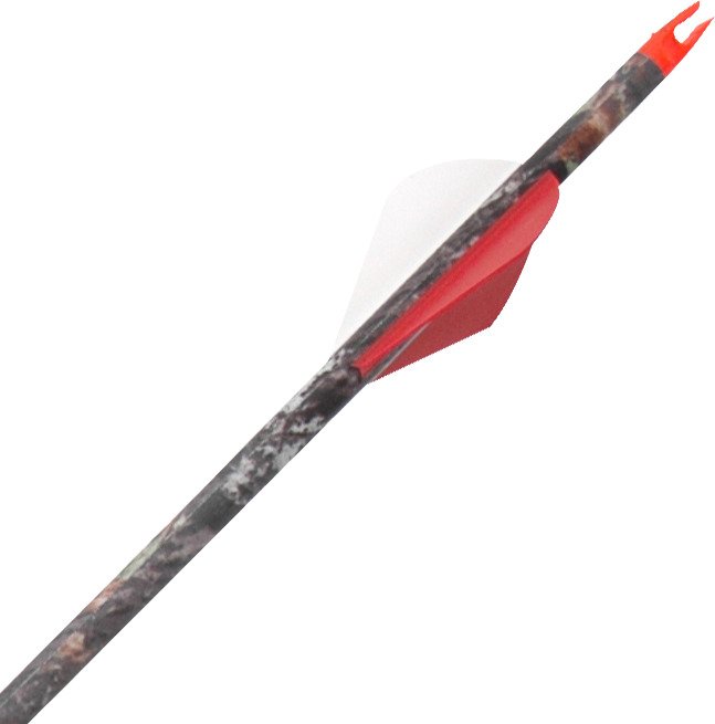 Carbon Express Terminator Express Hunter 60/75 Arrows Academy