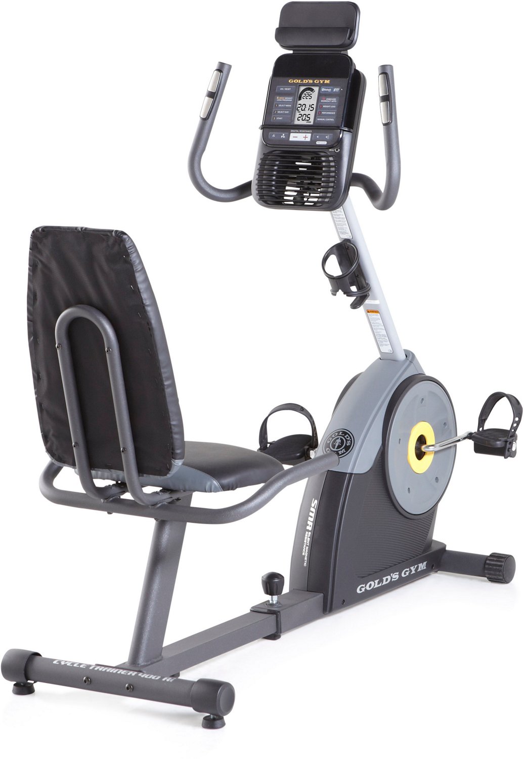 schwinn 230 recumbent bike academy