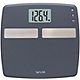 Taylor Body Composition Analyzer Scale                                                                                           - view number 1 image