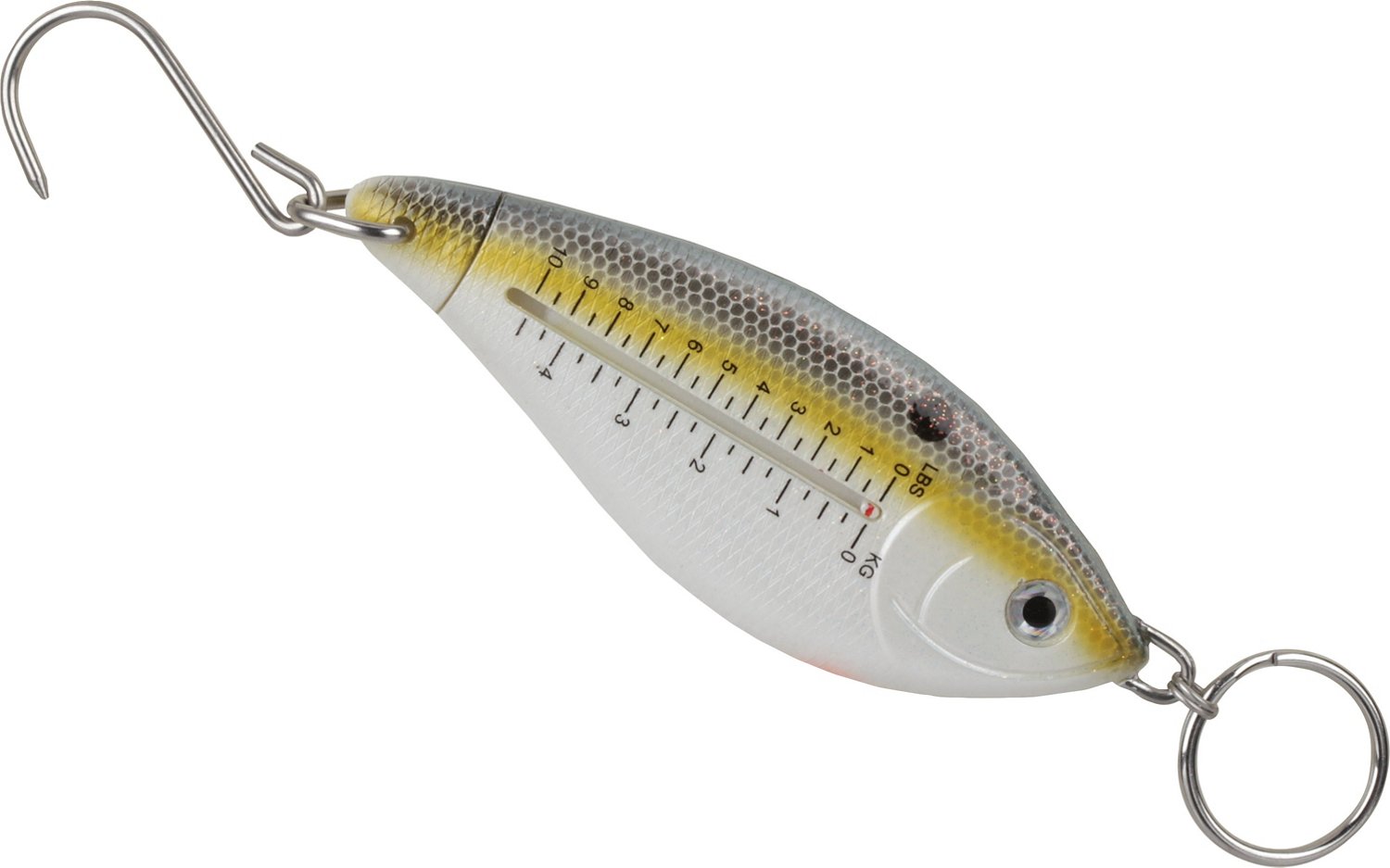 H2O XPRESS Mechanical Fish Scale Academy