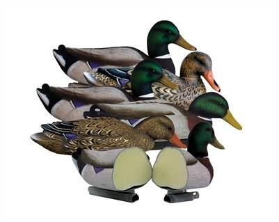 Higdon Magnum Foam-Filled Mallard Decoys 6-Pack | Academy