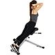 Sunny Health & Fitness 45-Degree Hyperextension Roman Chair                                                                      - view number 5 image