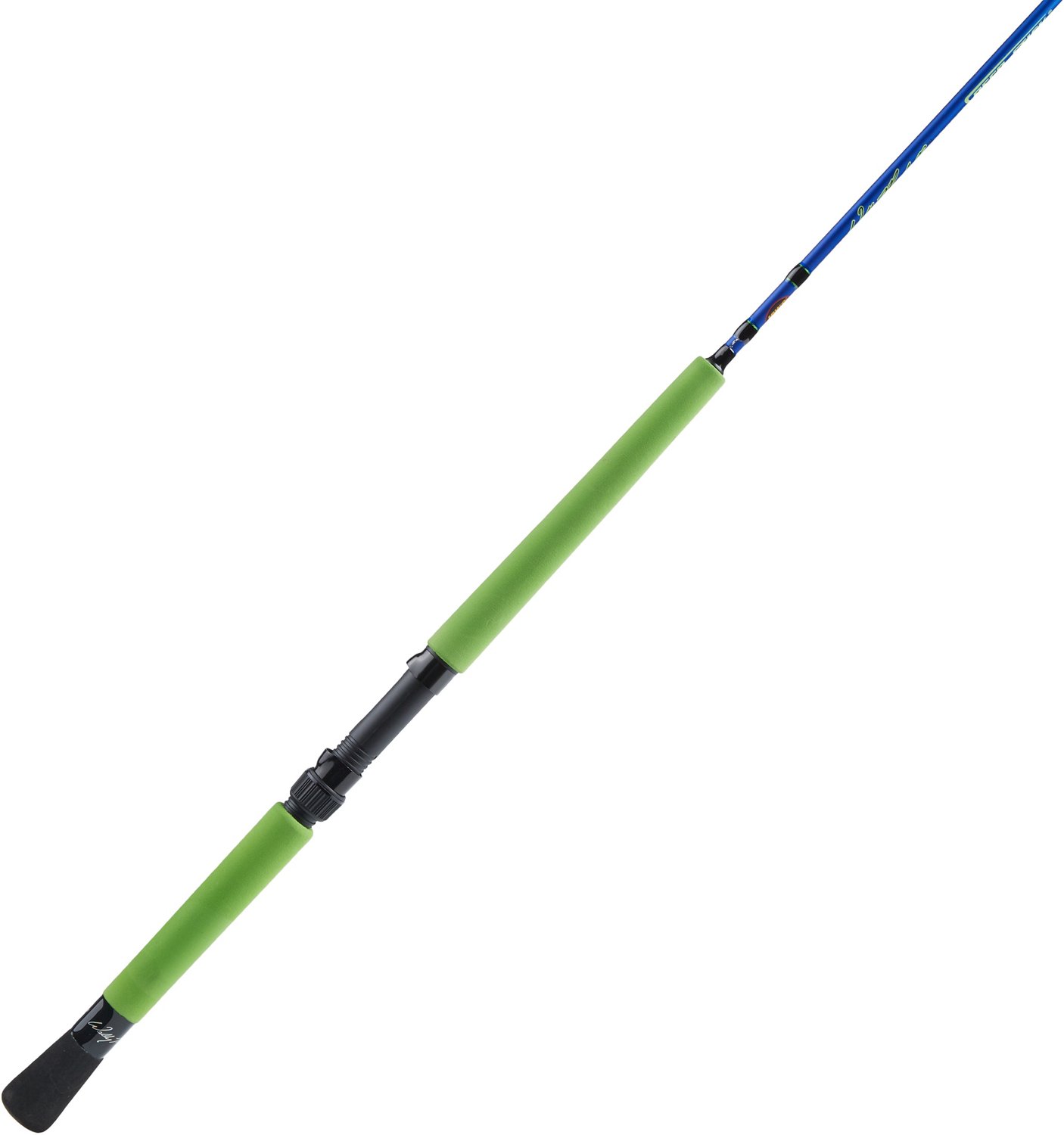 lews saltwater rods