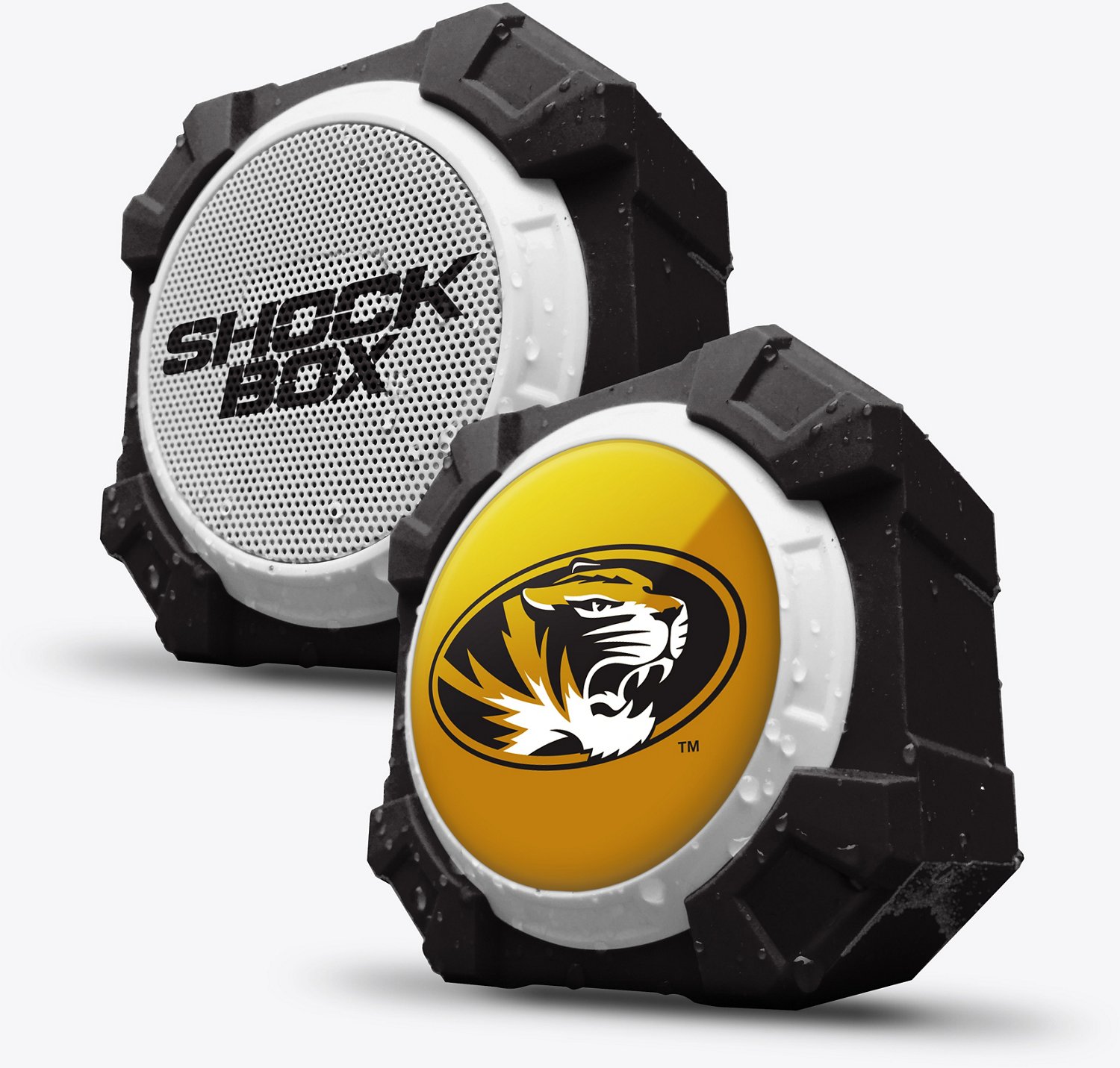 academy outdoor speaker