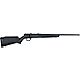 Savage Arms B17 F .17 HMR Bolt-Action Rifle                                                                                      - view number 1 image