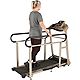 Paradigm Exerpeutic TF2000 Recovery Fitness Walking and Rehab Treadmill                                                          - view number 15 image
