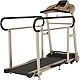 Paradigm Exerpeutic TF2000 Recovery Fitness Walking and Rehab Treadmill                                                          - view number 5 image