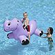 Poolmaster Happy Hippo Rider                                                                                                     - view number 3 image