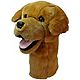 Daphne's Headcovers Golden Retriever Driver Headcover                                                                            - view number 1 image