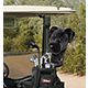 Daphne's Headcovers Black Lab Driver Headcover                                                                                   - view number 2 image