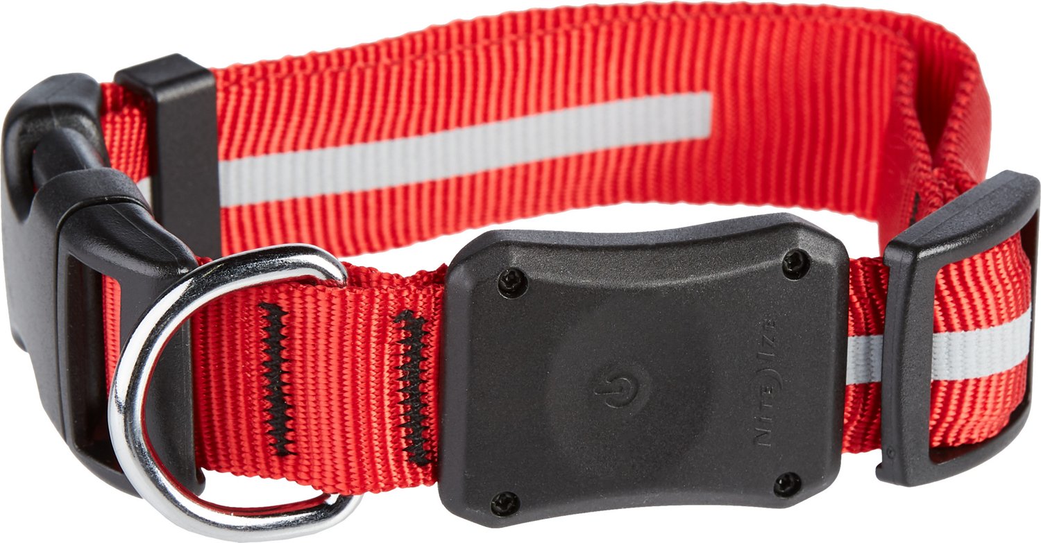 academy shock collar