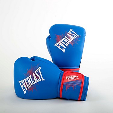 Everlast Youth Prospect Boxing Gloves