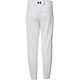 Under Armour Boys' Utility Baseball Pants                                                                                        - view number 2 image