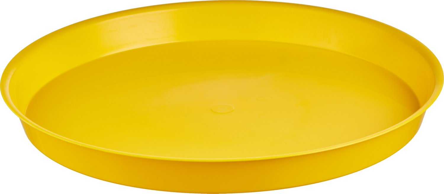 Academy Sports + Outdoors 16 in Crawfish Cookout Platter Academy