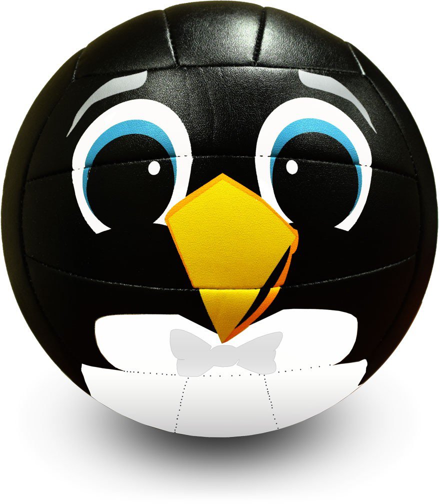 Molten Penguin Mini Volleyball Academy