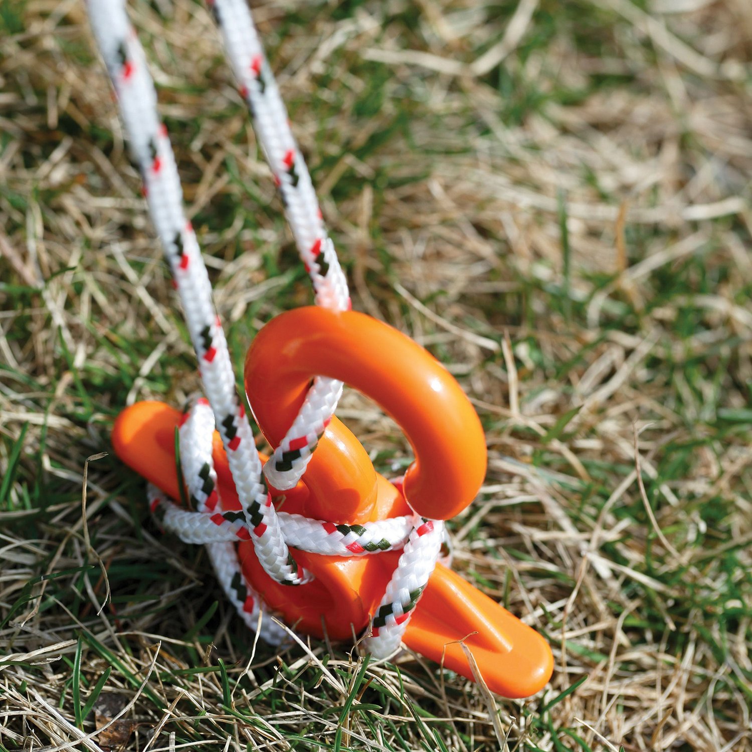 Coghlan's Twist Anchor Academy