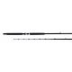 Billfisher Live Bait Conventional/Casting Rod                                                                                    - view number 1 image