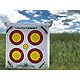 Morrell NASP Youth Target                                                                                                        - view number 7 image