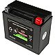 Interstate Batteries 12V 310 Cold Cranking Amp AGM Battery                                                                       - view number 2 image
