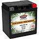 Interstate Batteries 12 V Cycle-Tron Plus Power Performance Battery                                                              - view number 3 image
