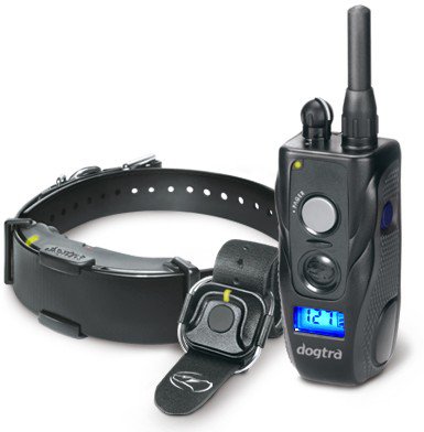 academy shock collar