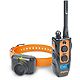 Dogtra 2700T&B Training and Beeper e-Collar System                                                                               - view number 1 image