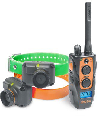 academy shock collar