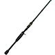 H2O XPRESS Legacy Casting Rod                                                                                                    - view number 1 image