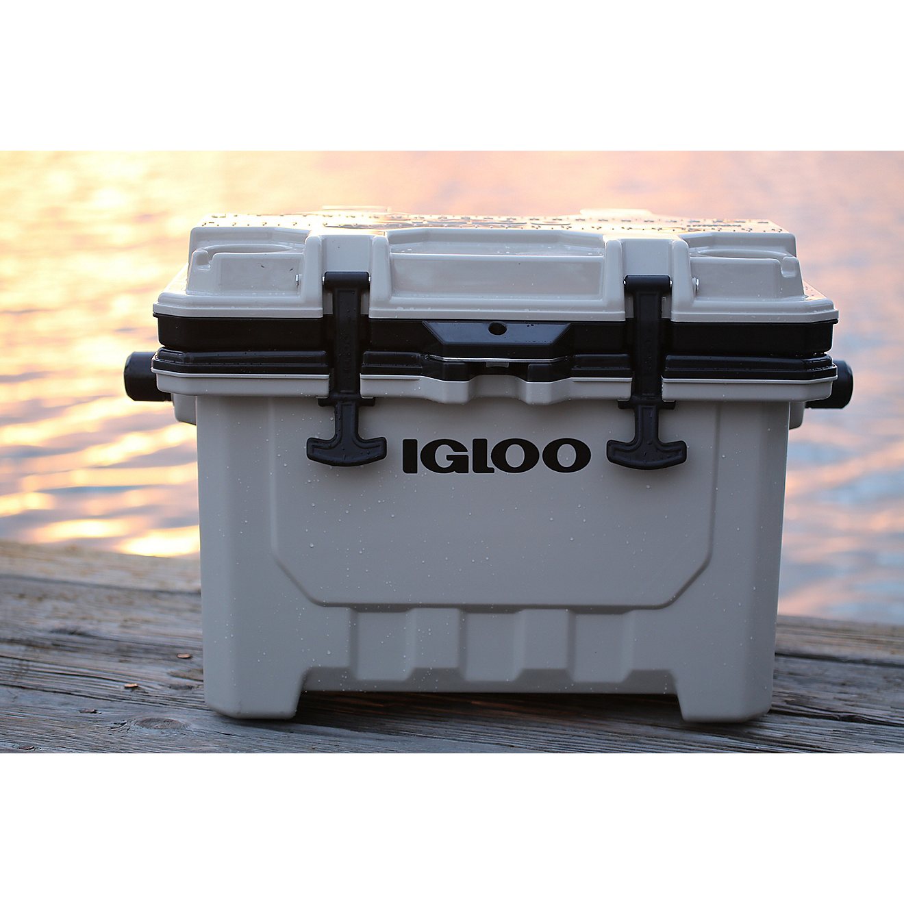 Igloo IMX 24-qt Cooler                                                                                                           - view number 9