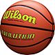 Wilson Evolution Indoor Basketball                                                                                               - view number 2 image