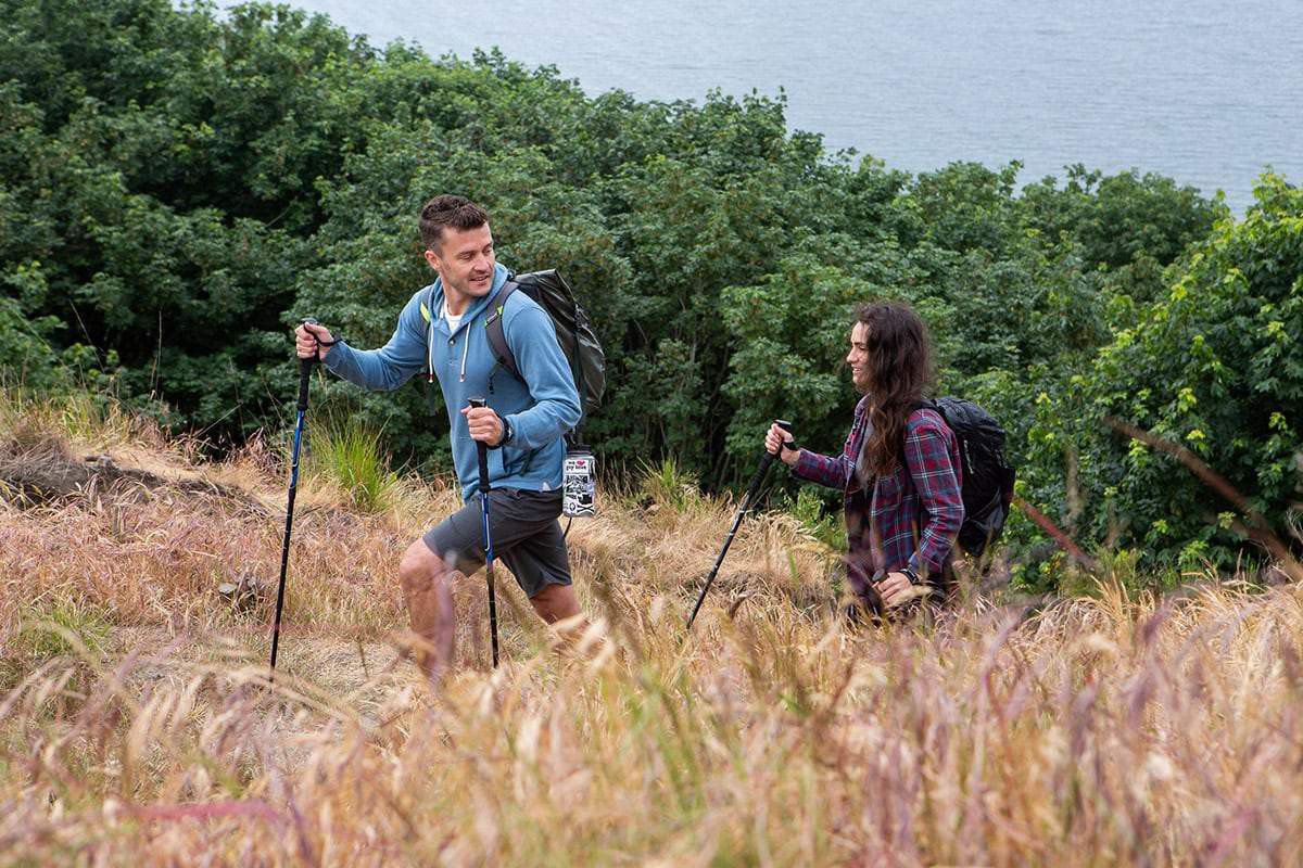 academy sports walking sticks