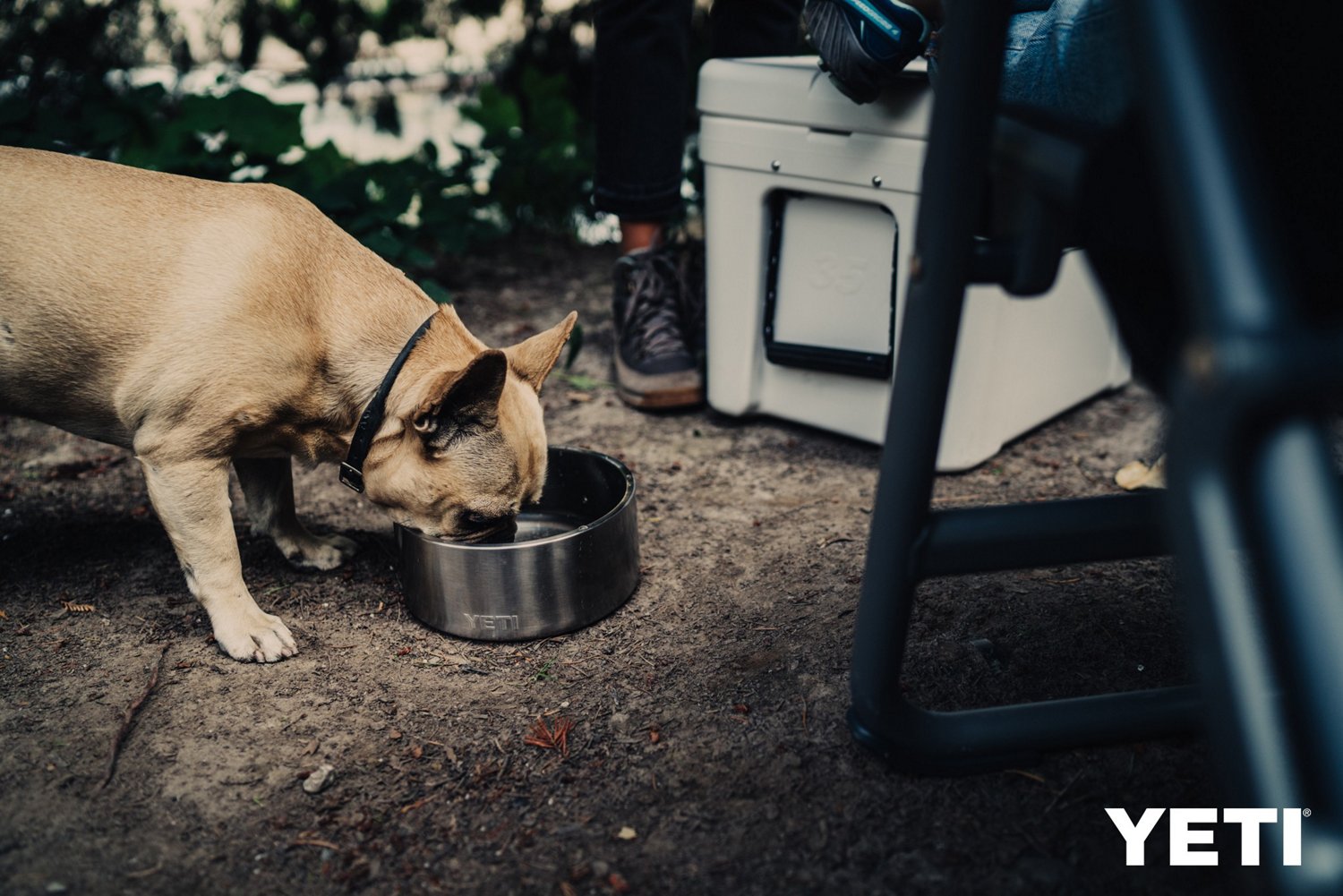 YETI Boomer 8 Dog Bowl Academy